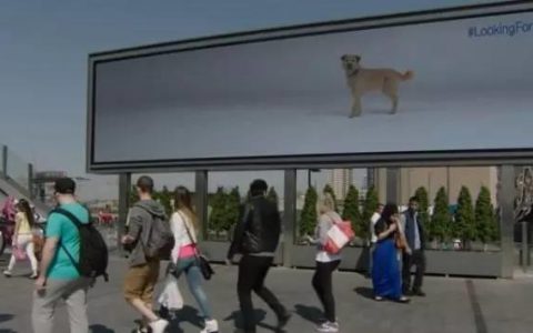 通过传单里的芯片感应，让广告牌的狗狗跟着你走。 （奥美）