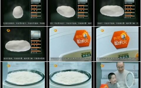 171苏泊尔电饭煲之智能火候控制篇15秒