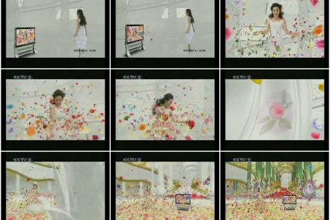 270松下VIERA电视彩色篇