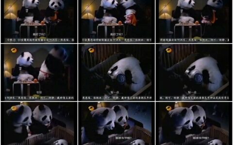 406长虹空调戴防毒面具睡觉的小熊猫篇
