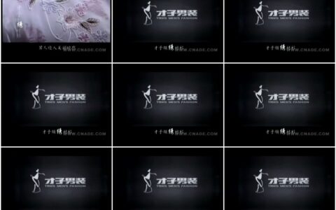 101才子领绣衬衫-美丽时代篇10秒
