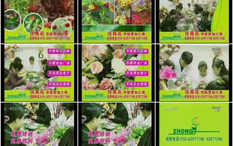 132中悦花蕊仿真花15秒