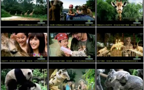 017广州香江野生动物世界宣传片15秒