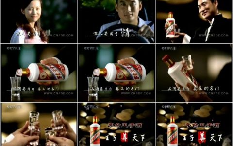 145茅台王子酒-出处篇15秒.wmv